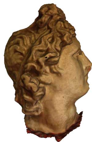 3d scanned bust