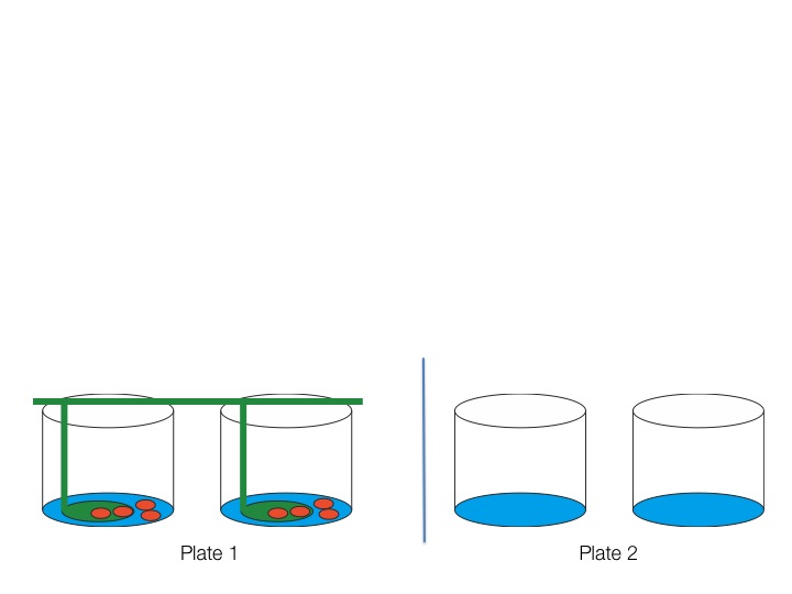 Week1_Image3