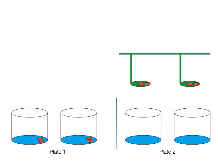 Week1_Image5