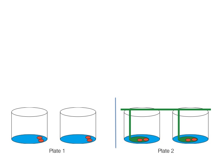 Week1_Image6