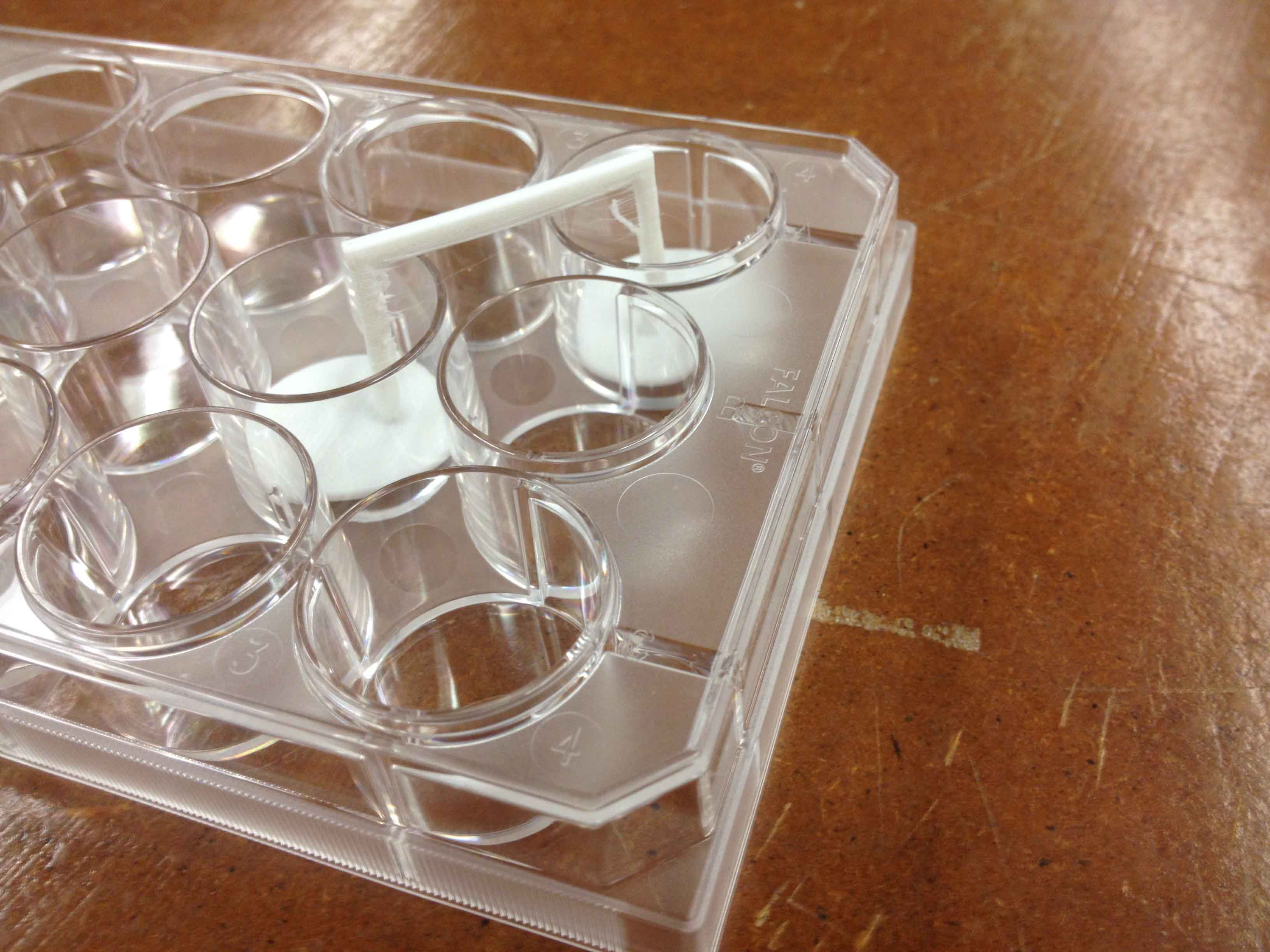 Week4_Photo5