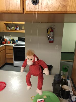 Scanning the monkey. Hanging him with floss helped avoid vision collisions with the floor.