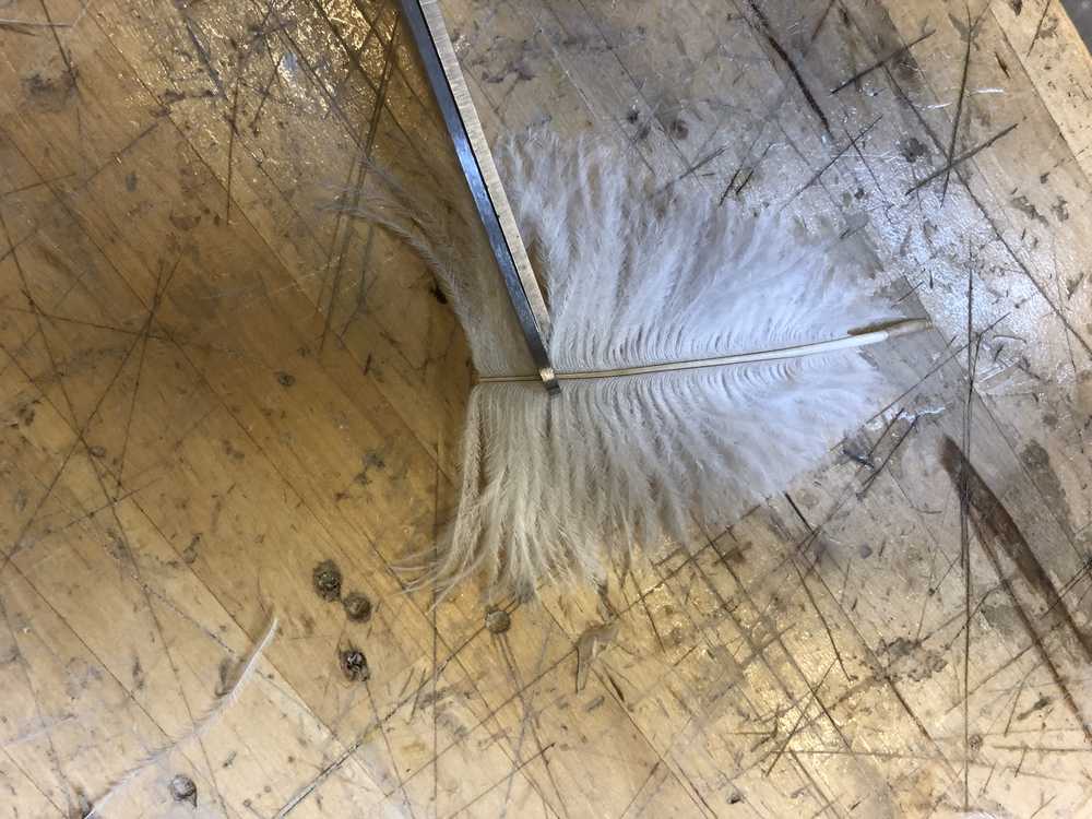 feather cutting