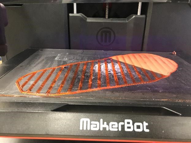 3D Printing the Sole