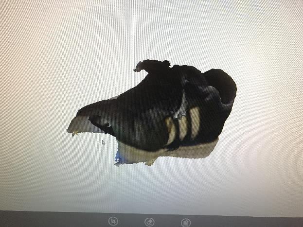 Scanned Shoe