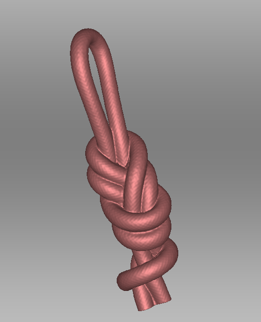 Final rope model