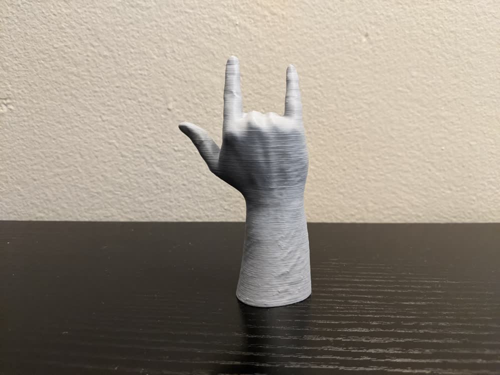 Back of Printed Hand