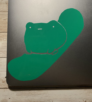 Frog on Skateboard Transformed