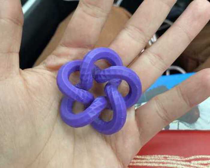 Purple torus knot being held