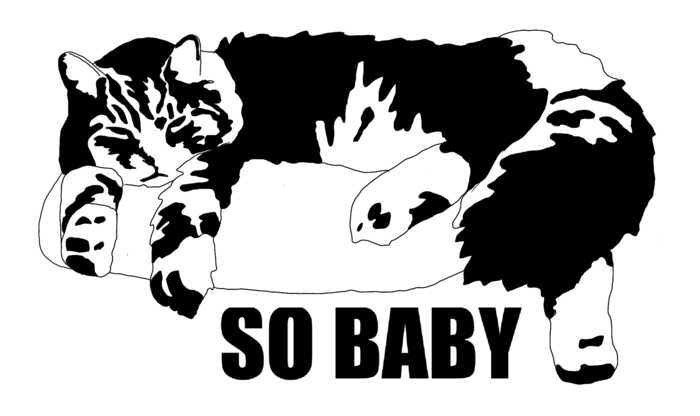 black and white vector drawing of cat with So Baby text underneath