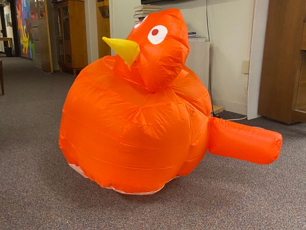 Inflated pigeon 1