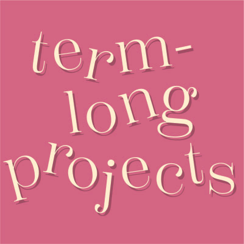 term long projects