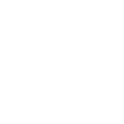 Vincy Xiao Logo