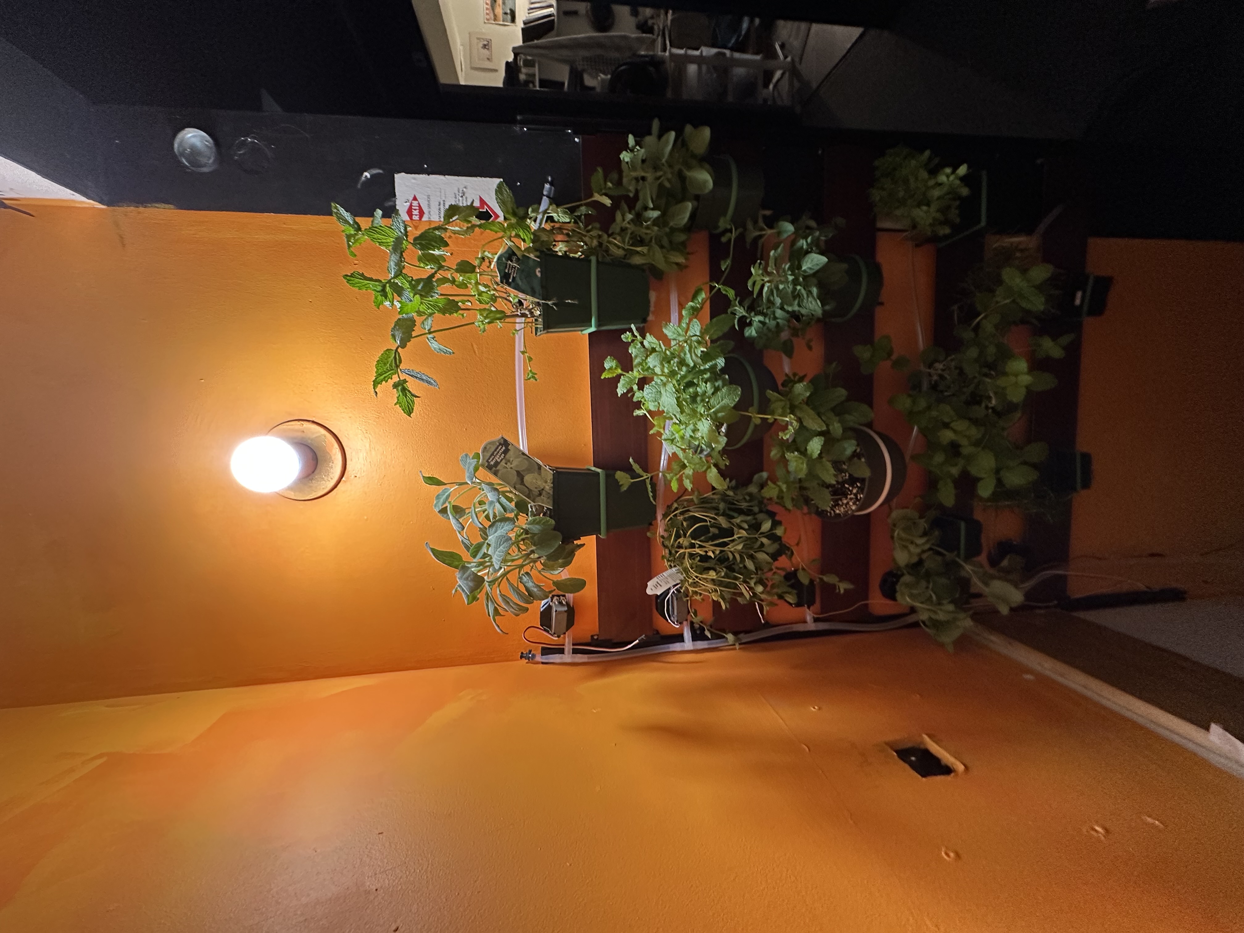 Another image of the project