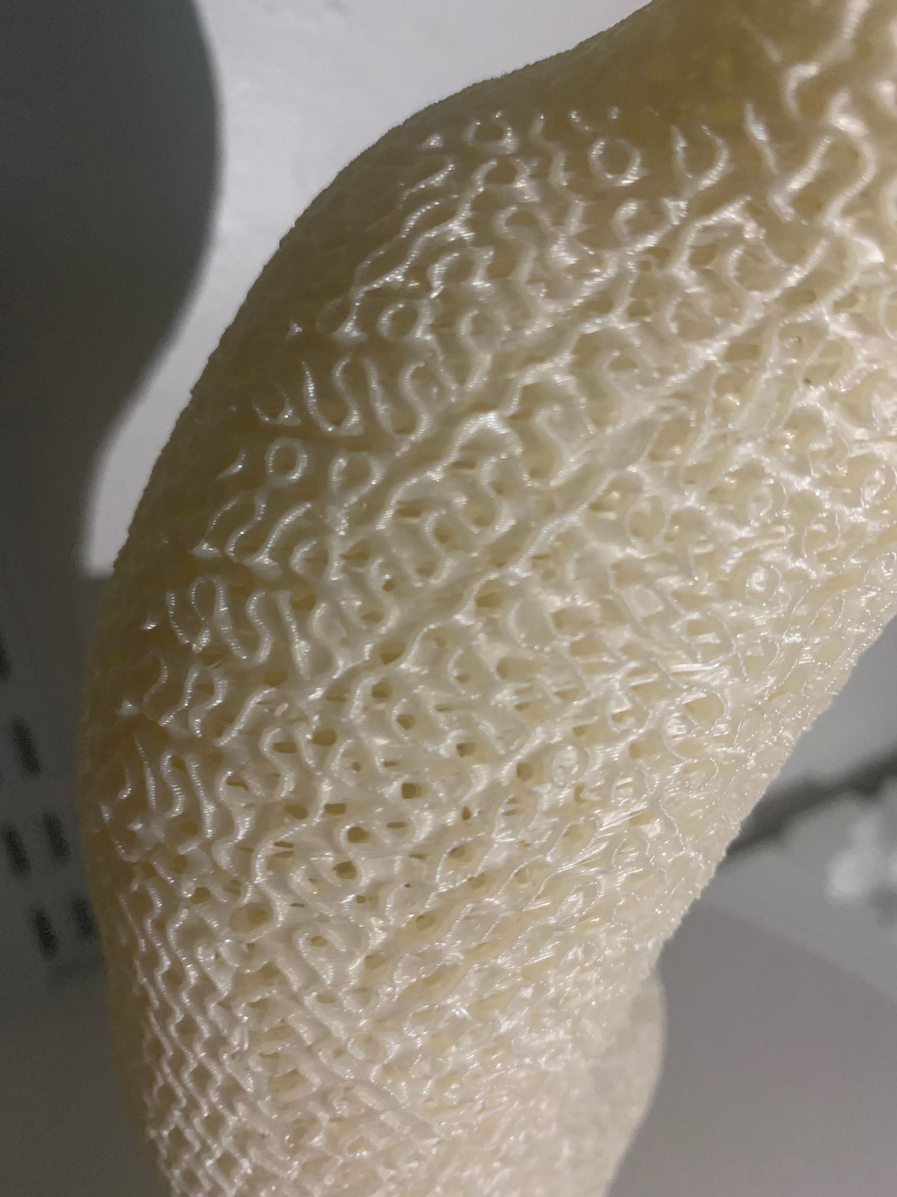 close up on coral vase