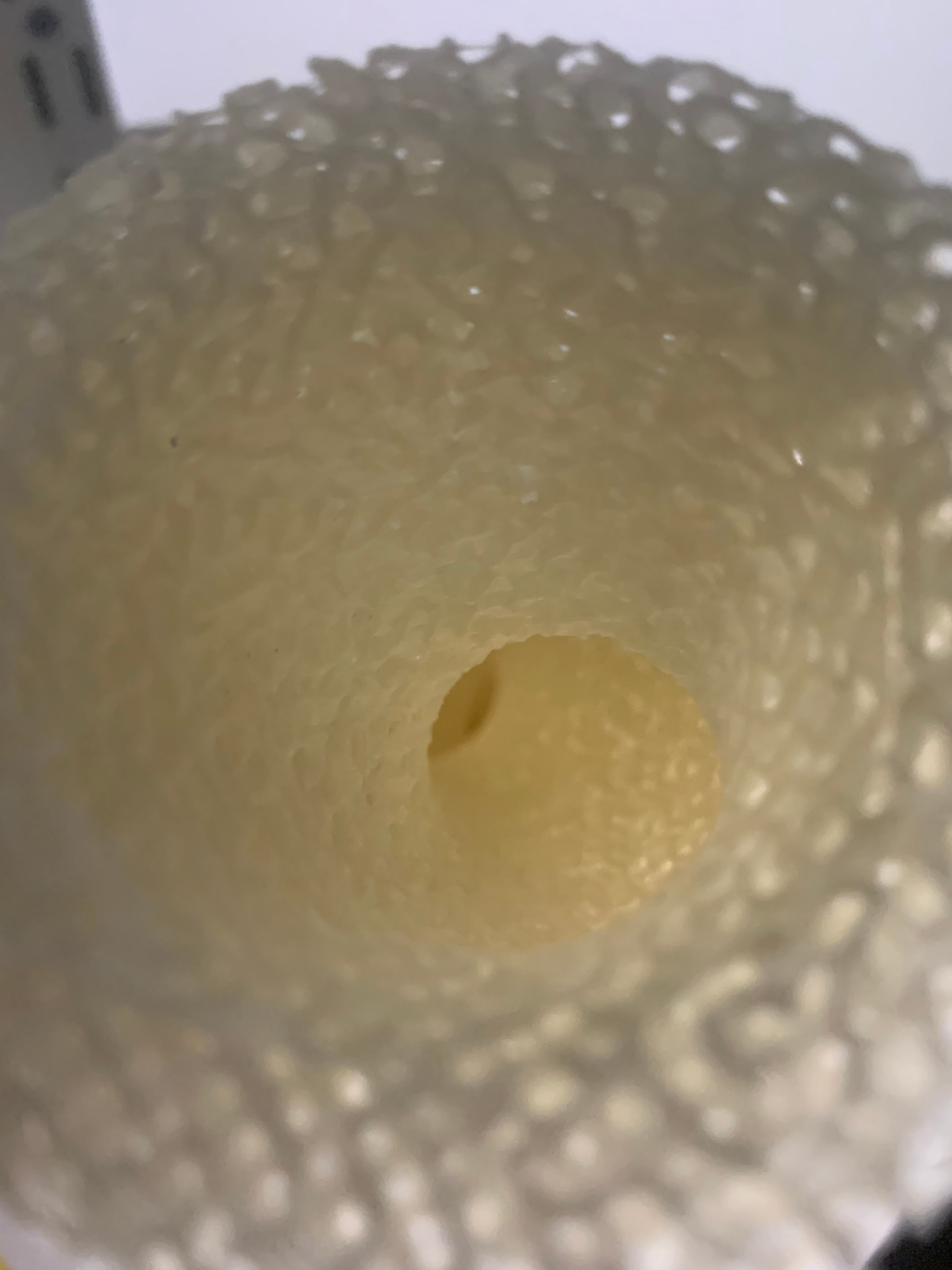 the inside of the coral looking vase