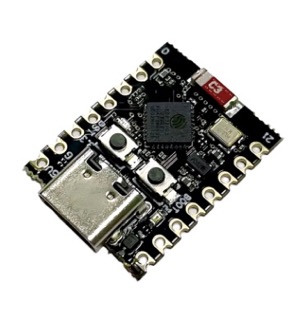 ESP 32