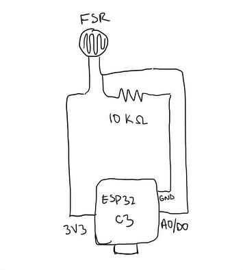 FSR Diagram