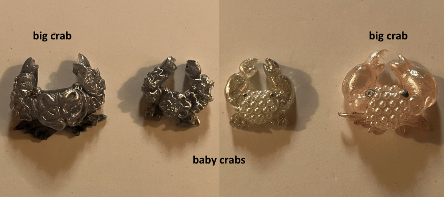 crabs photo