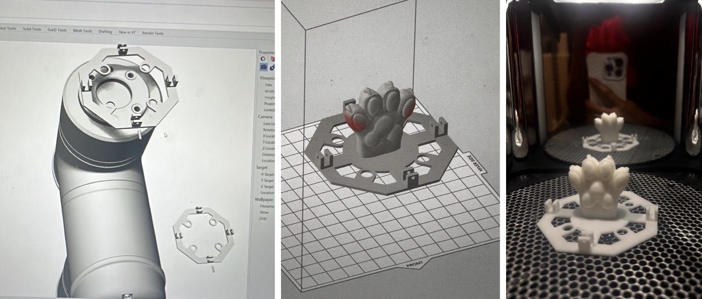 Robotic Paw Design