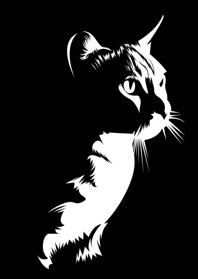 cat_design