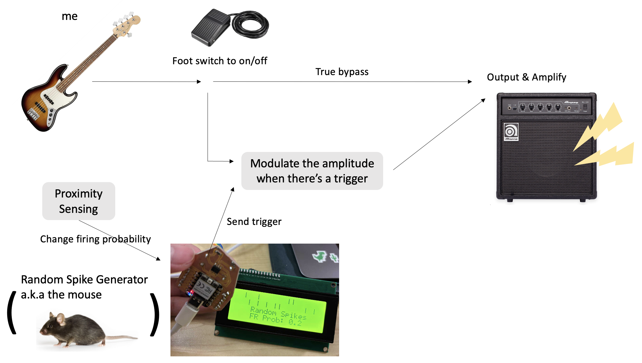 The rough diagram