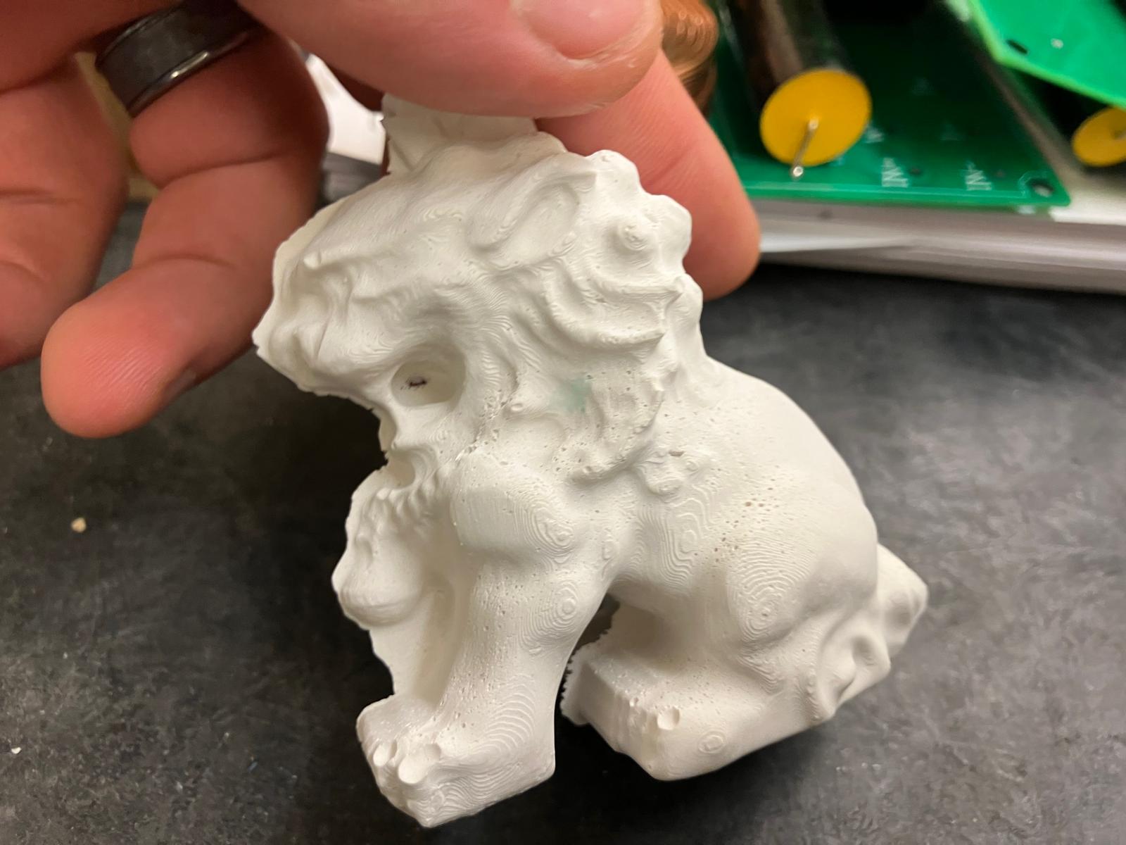 Lion casting demo from Anthony