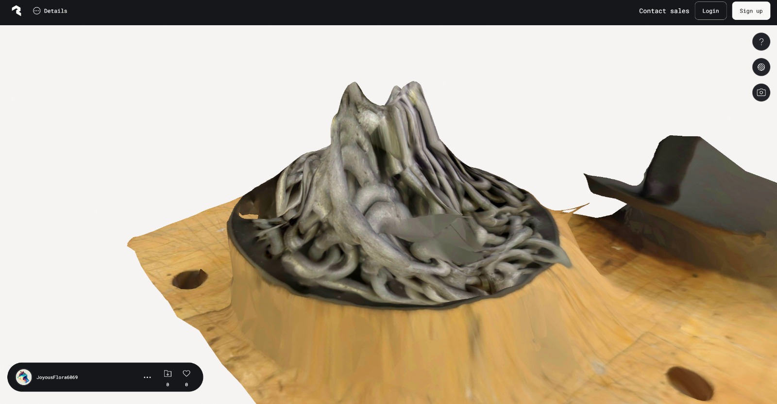 polycam Scan