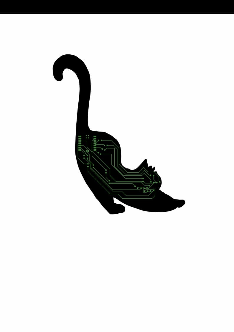 final cat