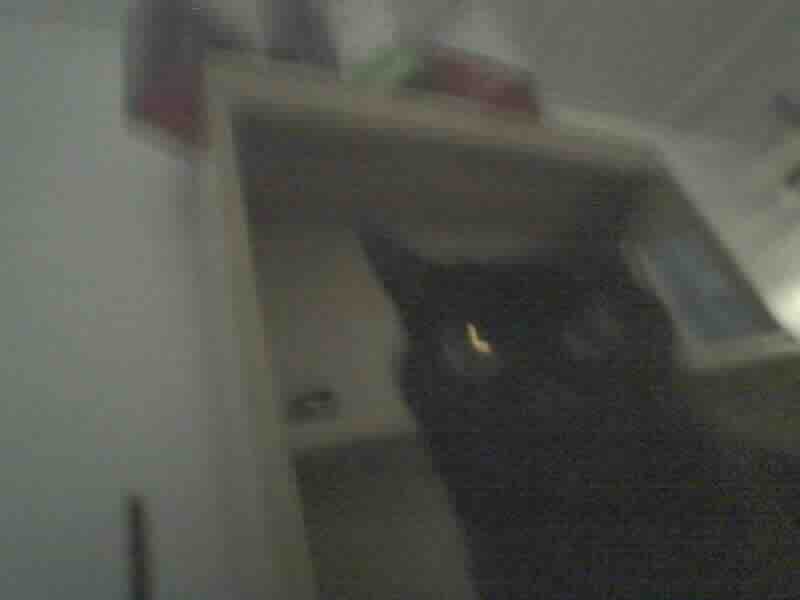 Project hero image or main screenshot