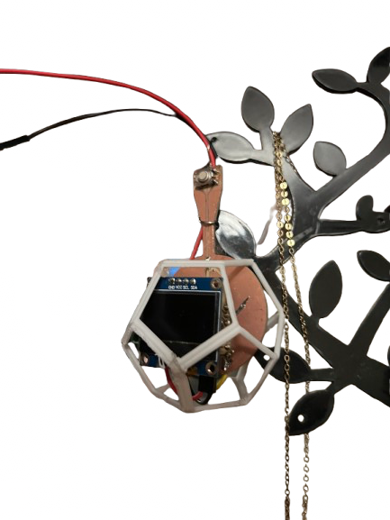 Final Project thumbnail