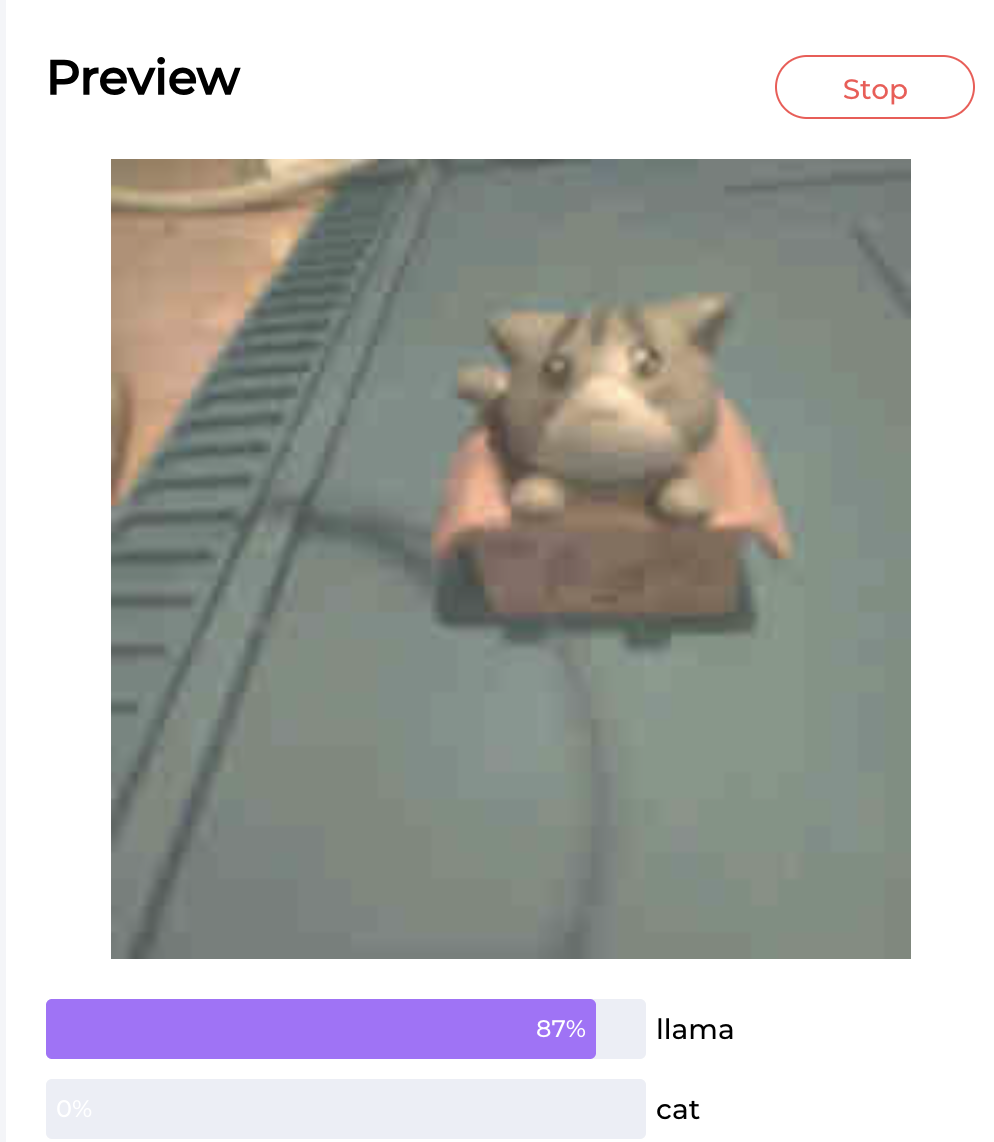 False positive of cat.