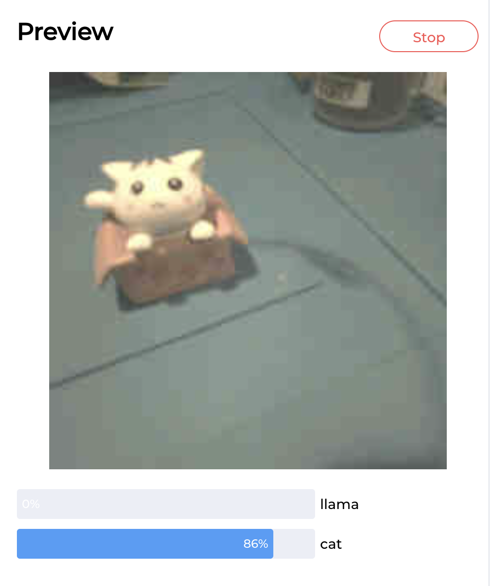 True positive of cat.