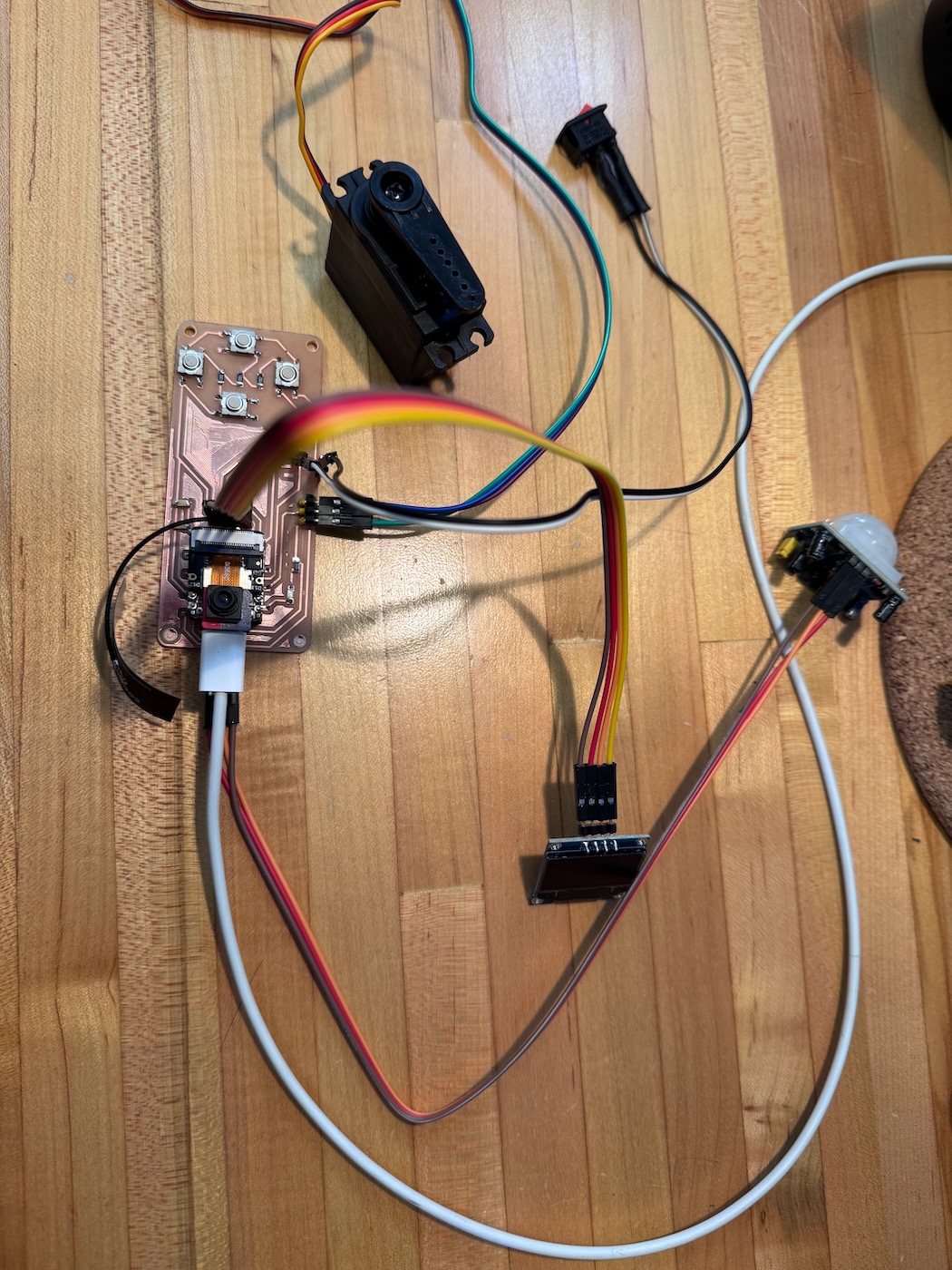 First iteration of cat counter PCB.