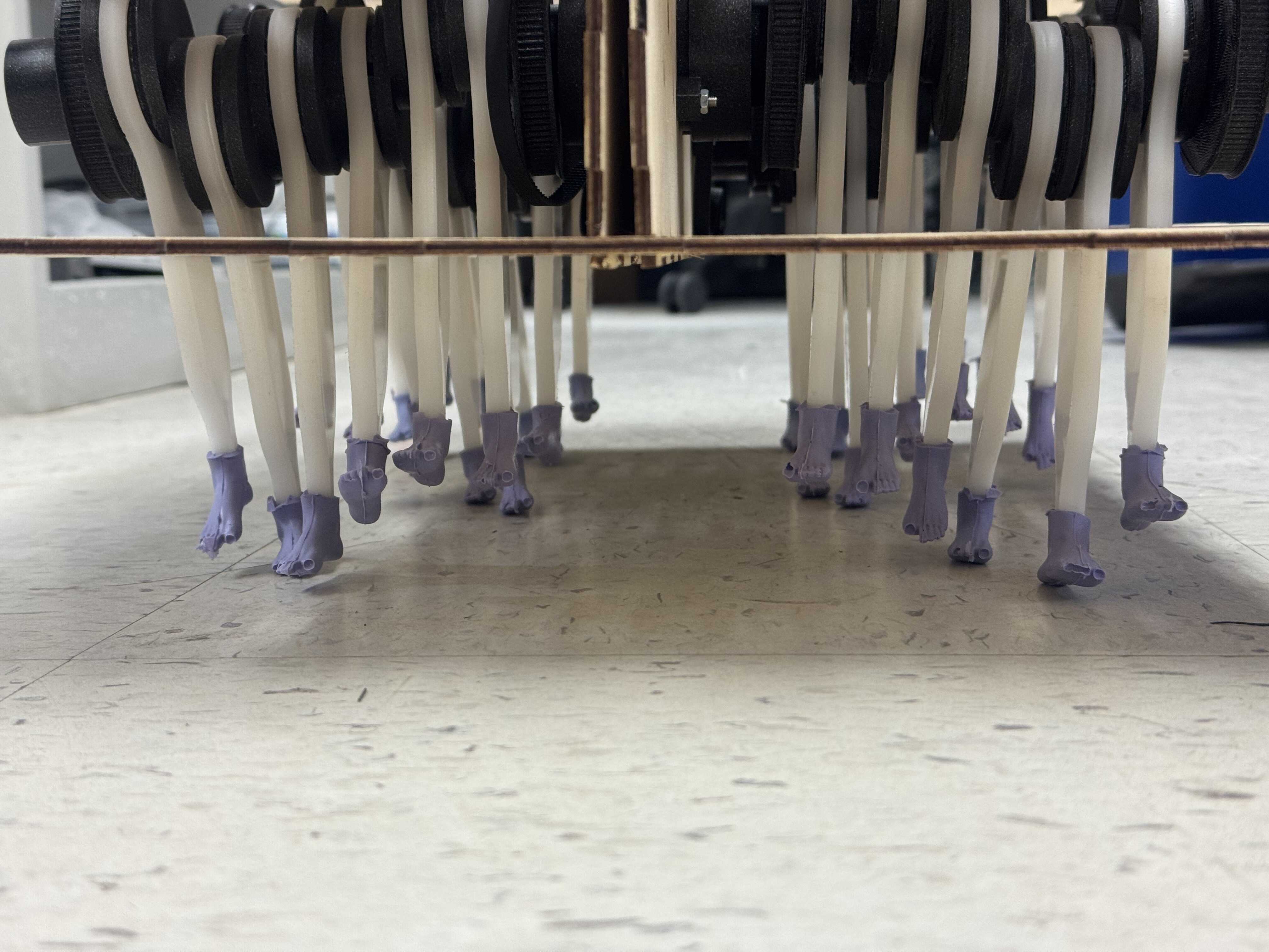 Final State of the Large Box