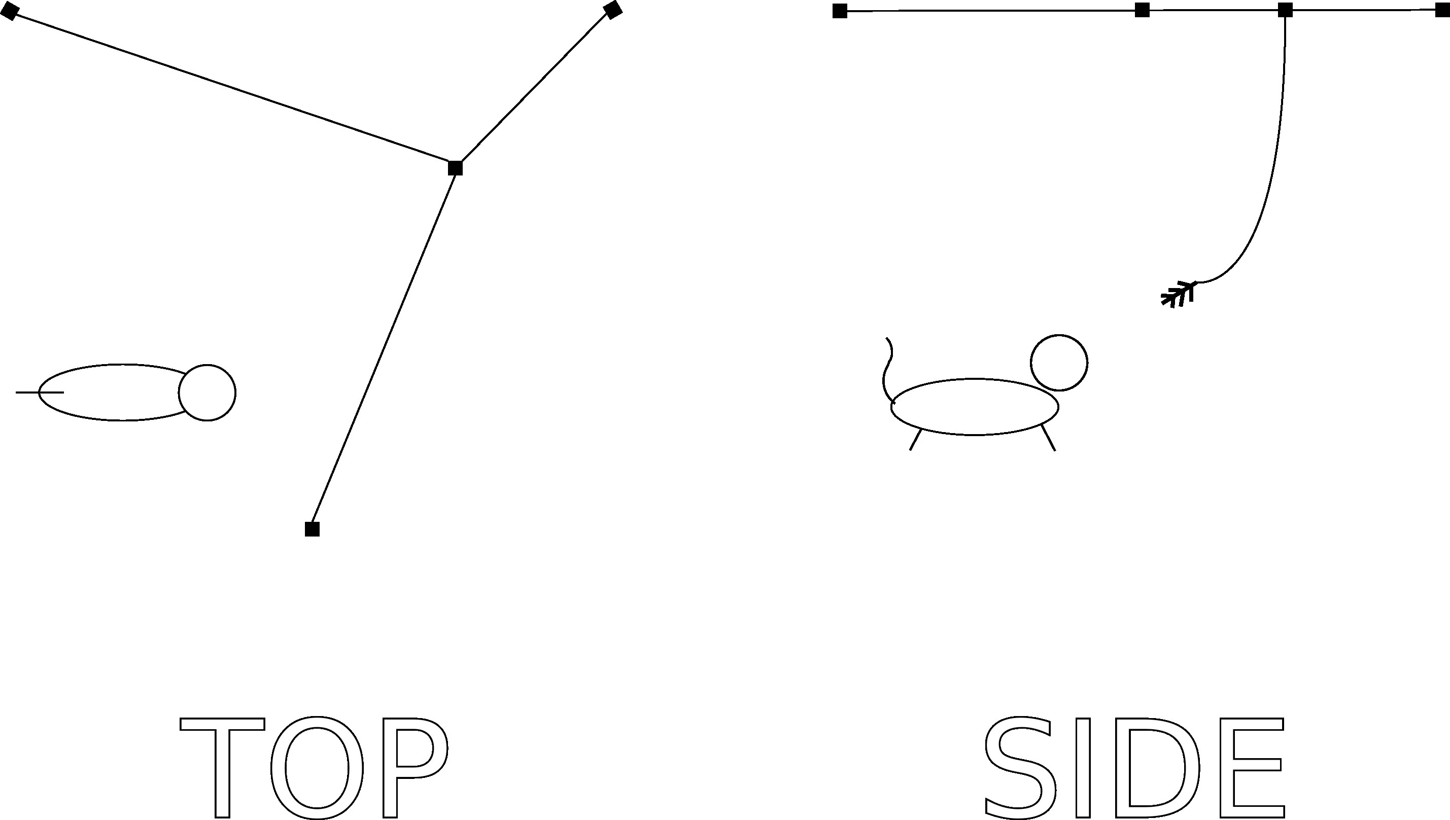 vector
