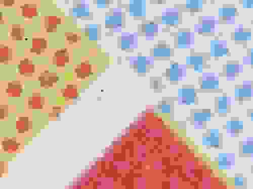 Bitmap image closeup showing print density