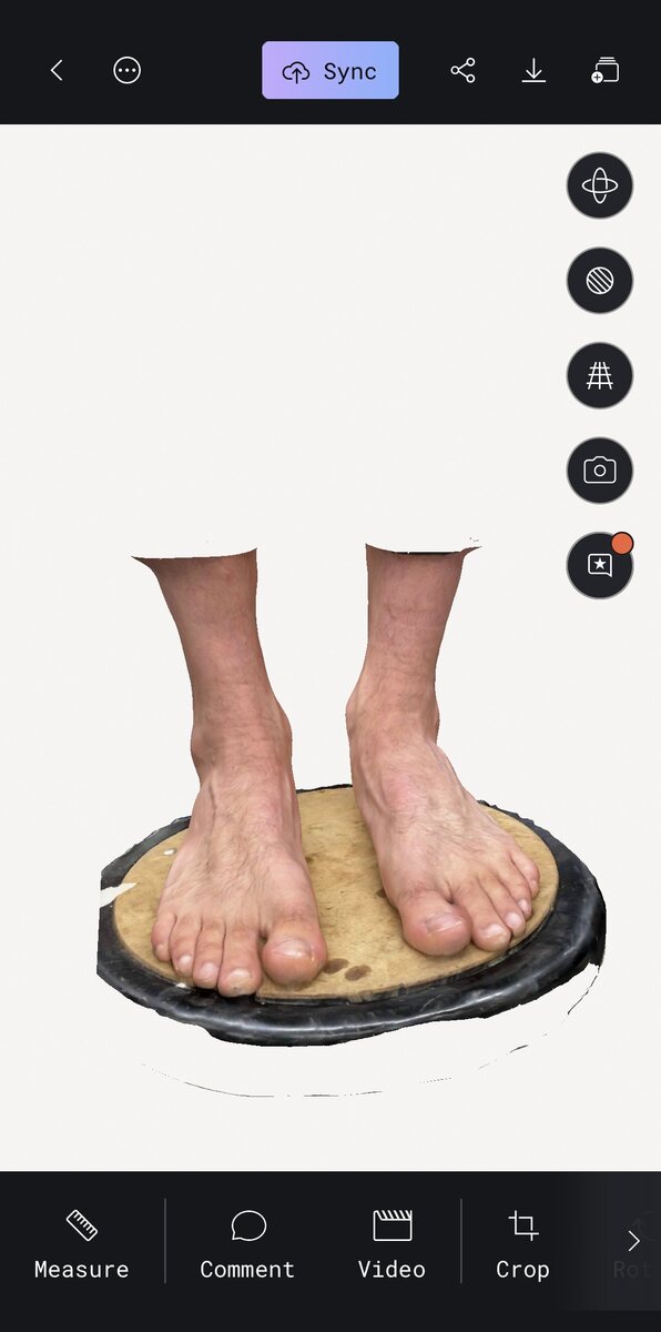 Scanning Polycam 2