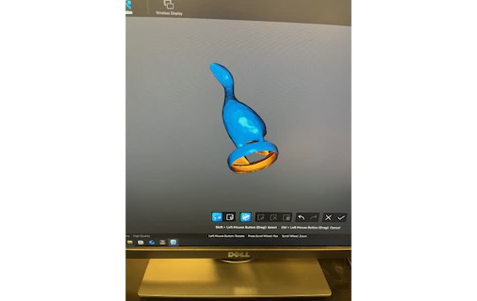 3D scan of goose