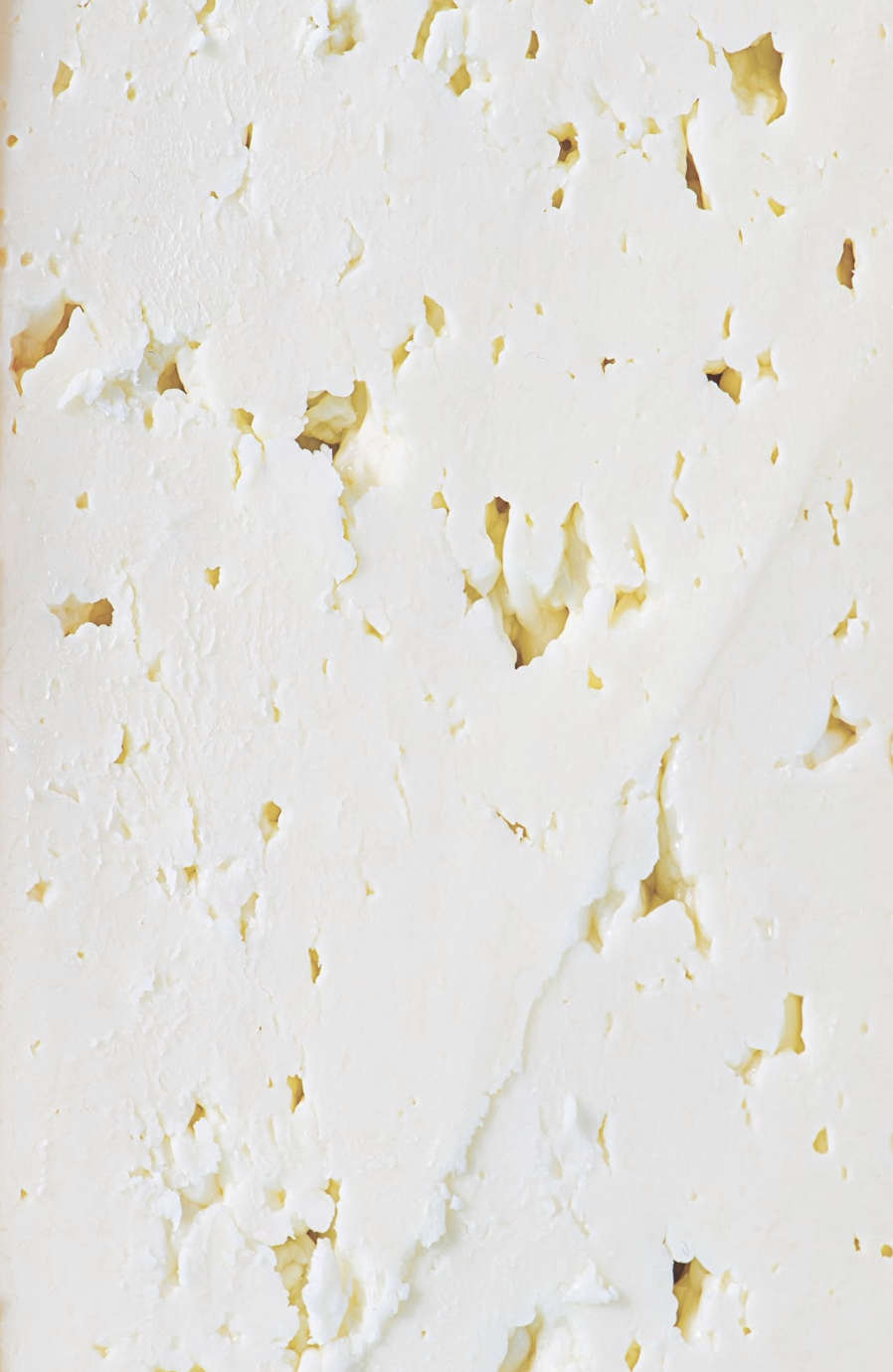 Cheese Surface Pattern Week 9: Molding and Casting