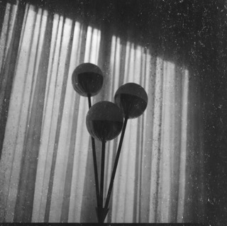 Portfolio work 12