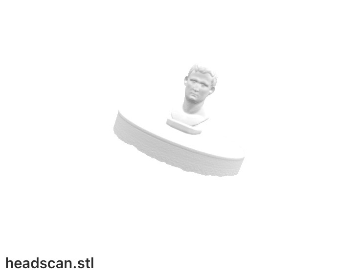 Head scan STL result