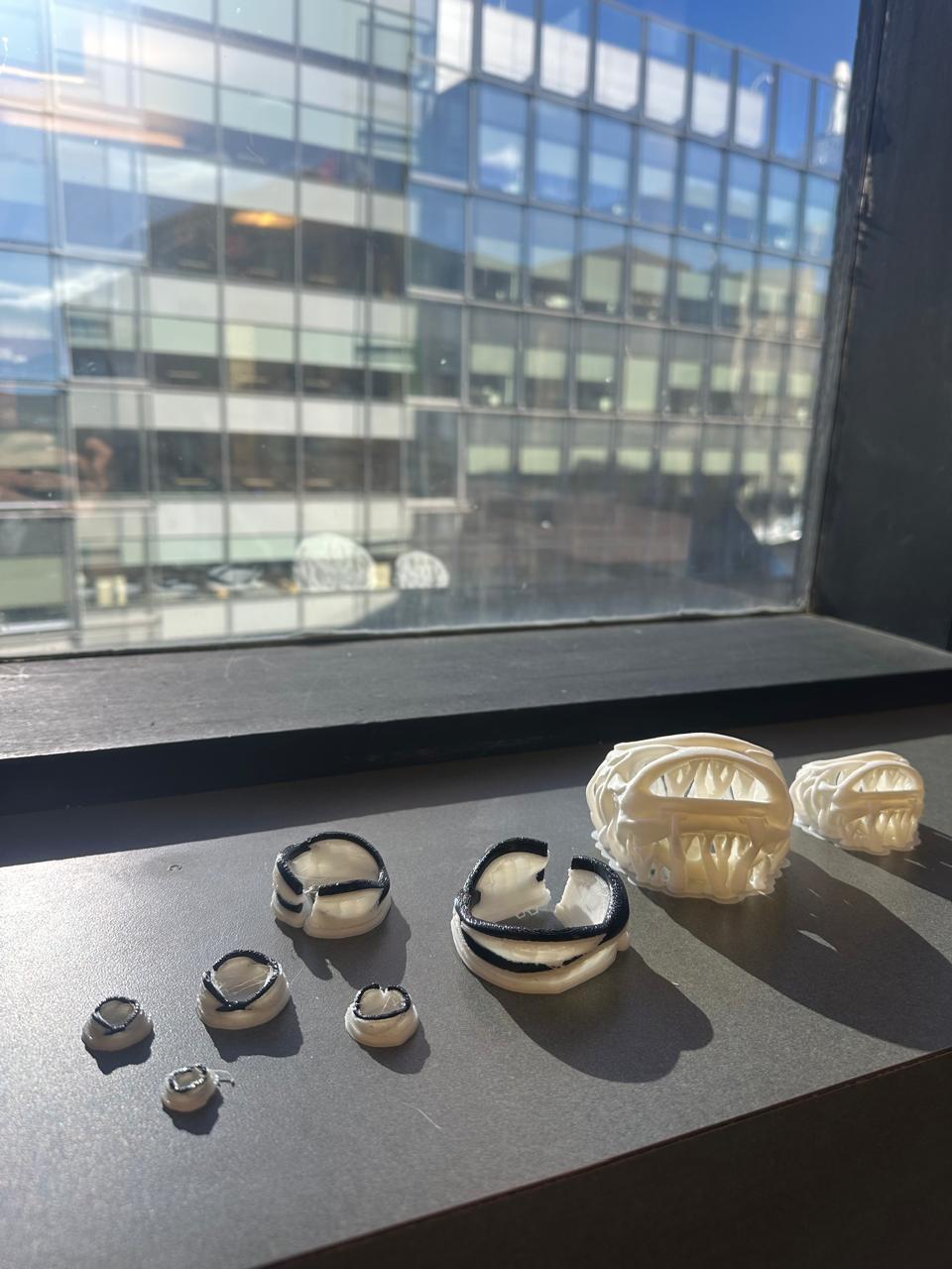 Before dissolving supports