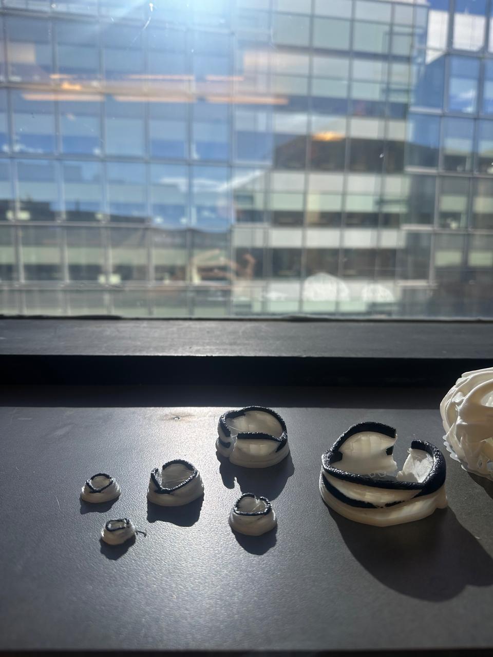 Before dissolving supports 1