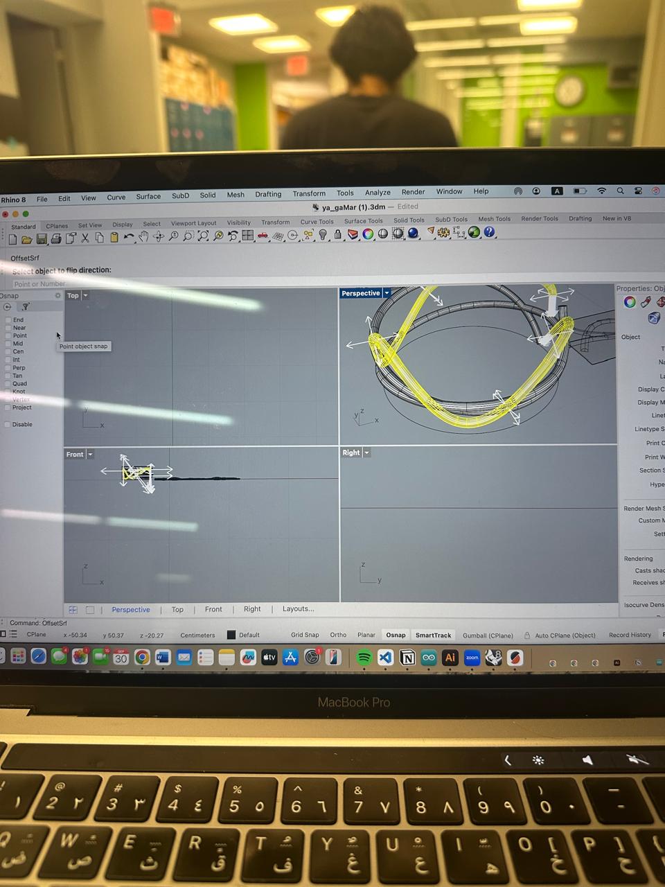 Rhino model of thin organic ring
