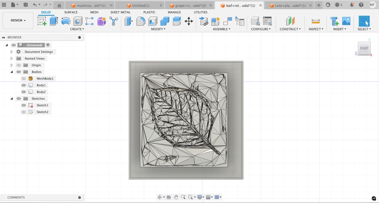 Leaf imprint 3D model
