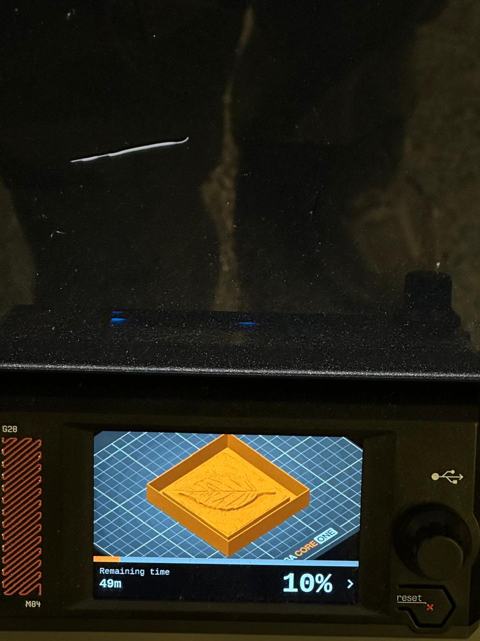 3D printed leaf model