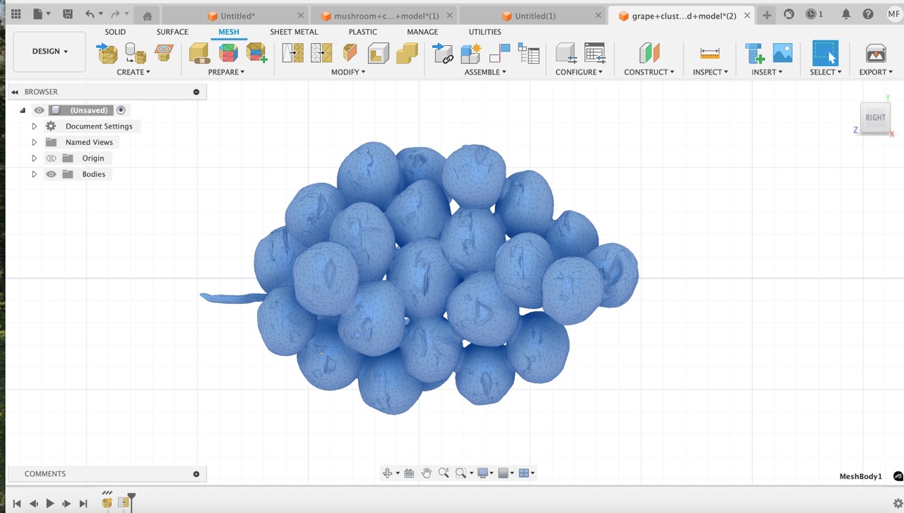 Memba berries 3D model attempt 3
