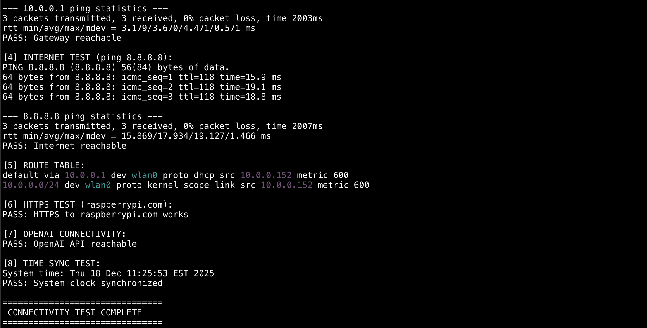 screenshot of me running the connectivity test in the remote shell