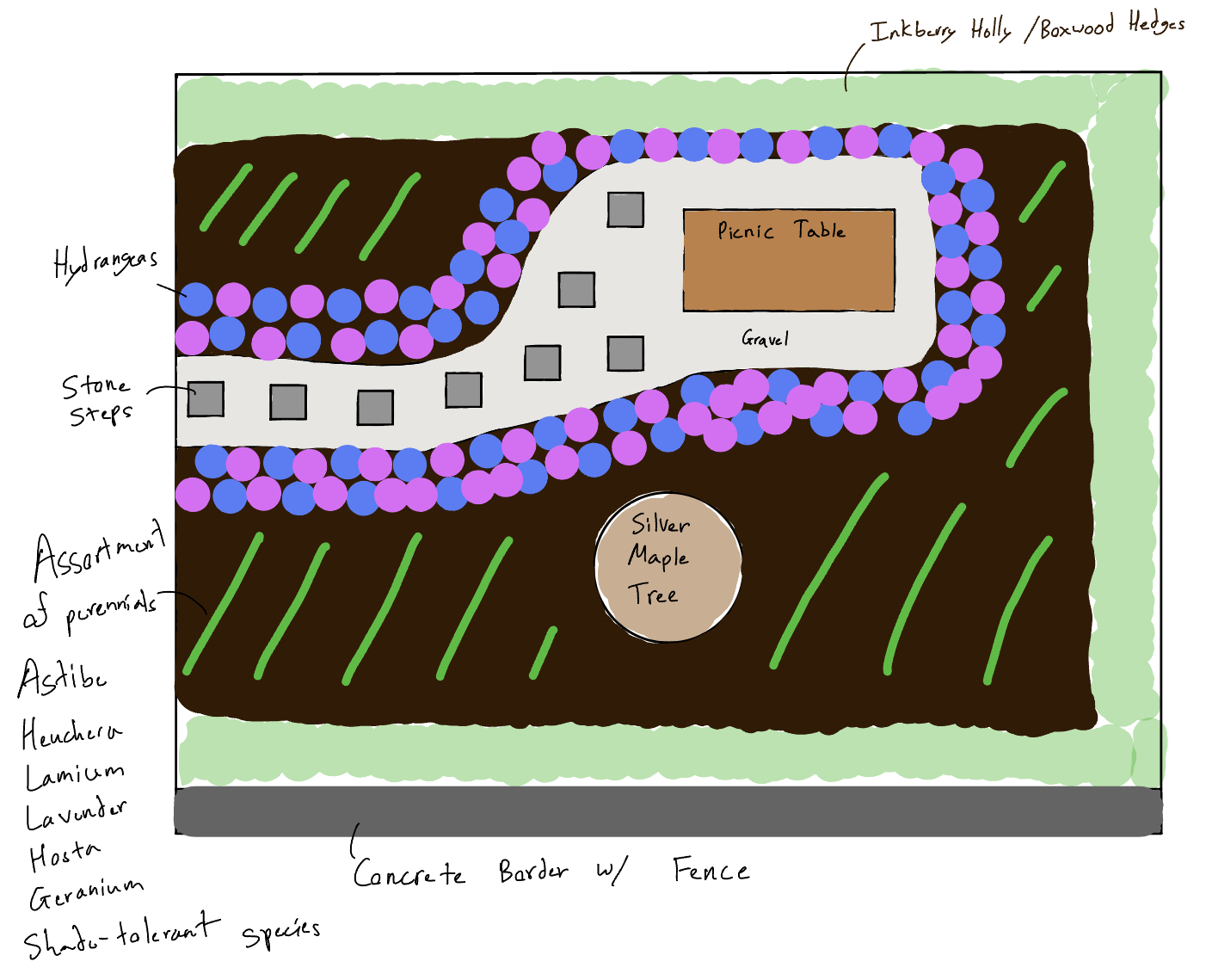 Garden Sketch